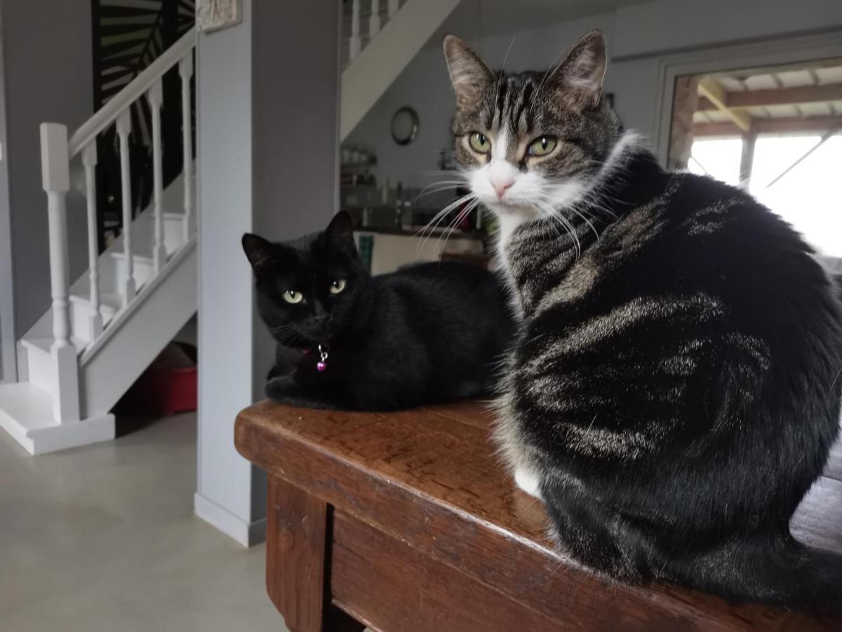 Ar Litorienn Bed & Breakfast Paimpont Dış mekan fotoğraf